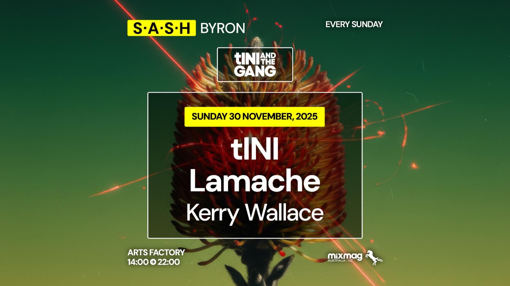 ★ S.A.S.H Byron ★ tINI & The Gang ★ Arts Factory Garden Bar ★ Sunday 30th November ★